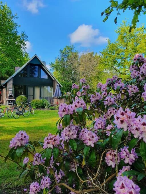 Ferienhaus blauer See Bockhorn  Exterior foto